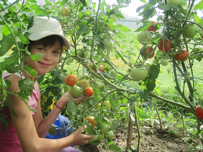 5 открытий огородного сезона Детской деревни SOS Псков 